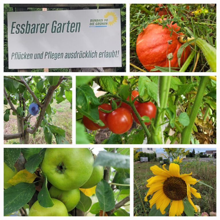 Update aus dem Essbaren Garten für Waghäusel