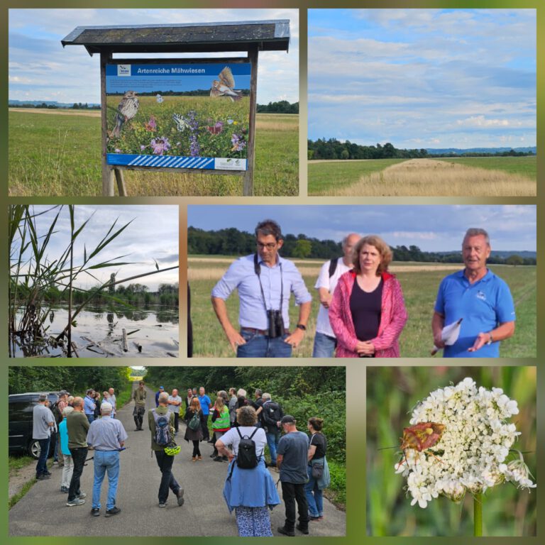 Wanderung in die Saalbachniederung