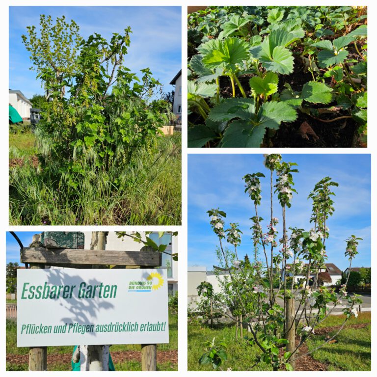 Essbaren Garten
