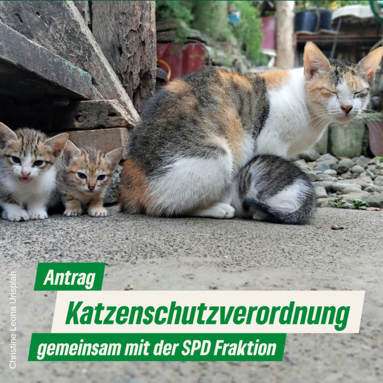 Katzenschutzverordnung