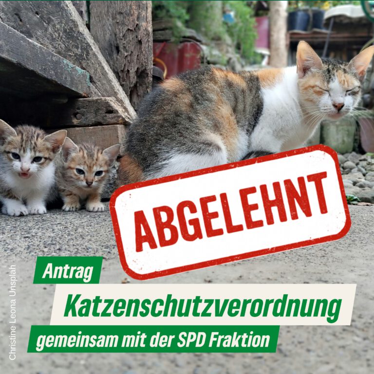 Katzenschutzverordnung – Abgelehnt