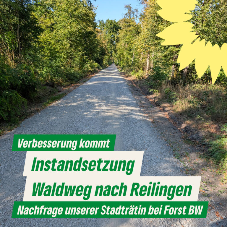 Forstweg nach Reilingen